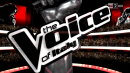 The Voice: foto prima puntata