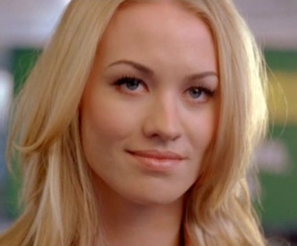 Yvonne Strzechowski Aka Sarah Walker on Chuck